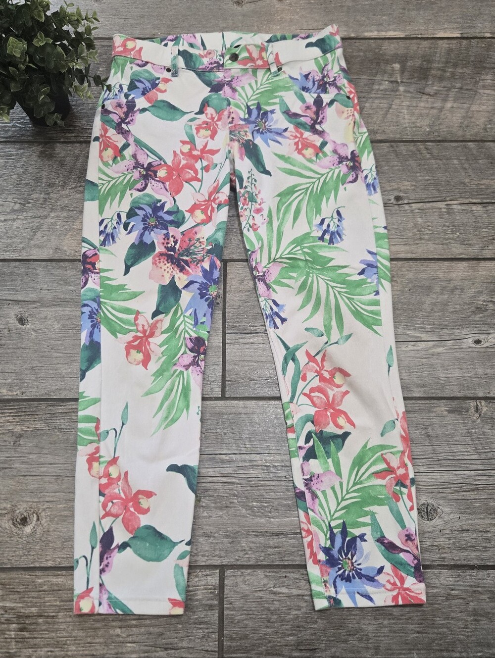 HUE Tropical Floral Print High Rise Resortwear Stretch Leggings Pants, Medium